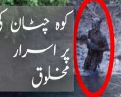 Many experience the existence of unknown creatures on the mountain Many experience the existence of unknown creatures on the mountain.
